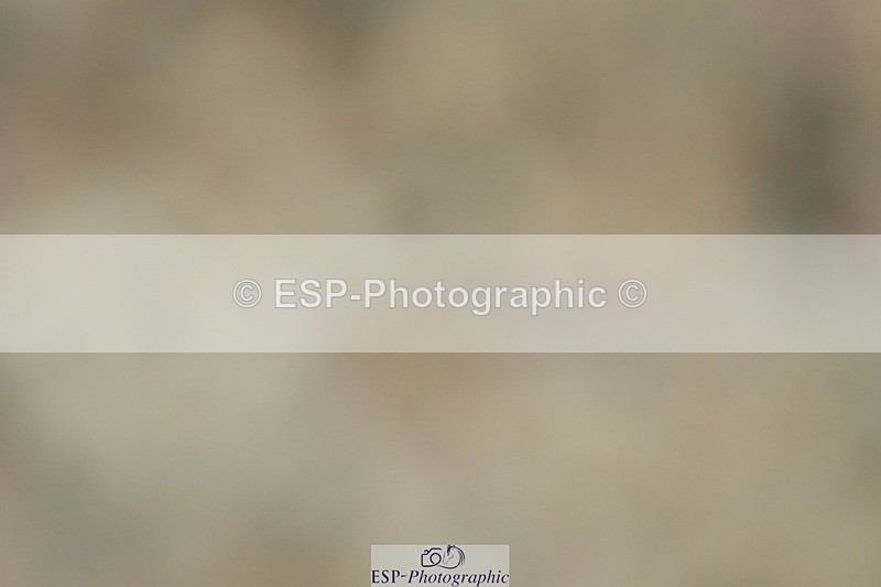 230630A-150626-03103 - Cls 13+14+18 Adv Medium 91+98 &Music PSG