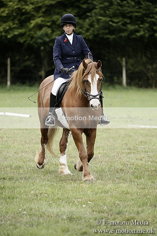 BVR080918 41 - BVRC Novice Dressage & CR 08/09/18