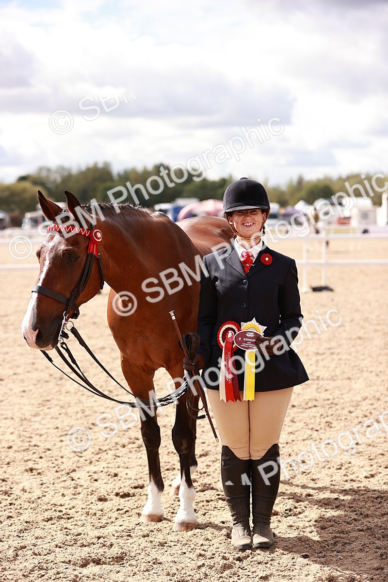 SBM_14229 - Class 407 - IH Hack Riding Horse