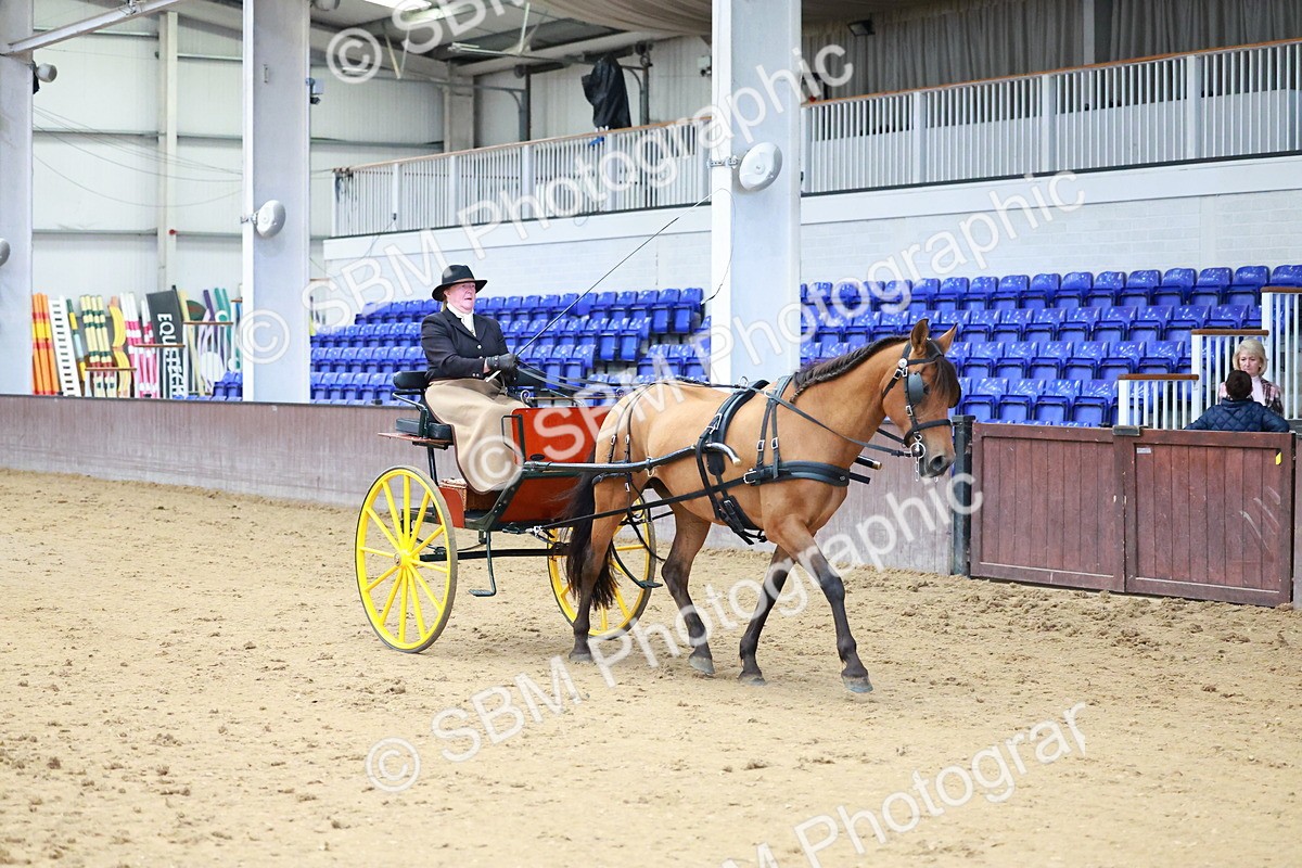 SBM_001053 - Class 15 - Open Showmans Class