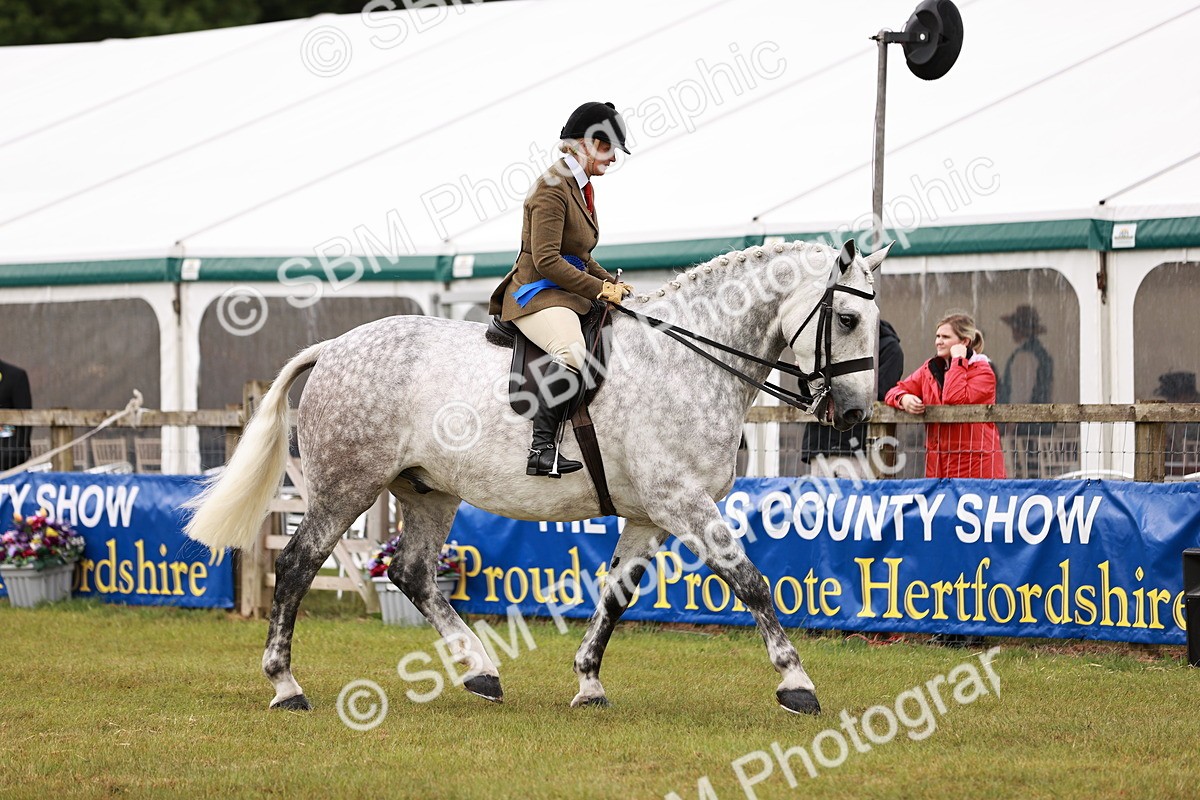 SBM_11536 - Class 81-84 - RIHS Ridden hunters Inc Ladies Hunter