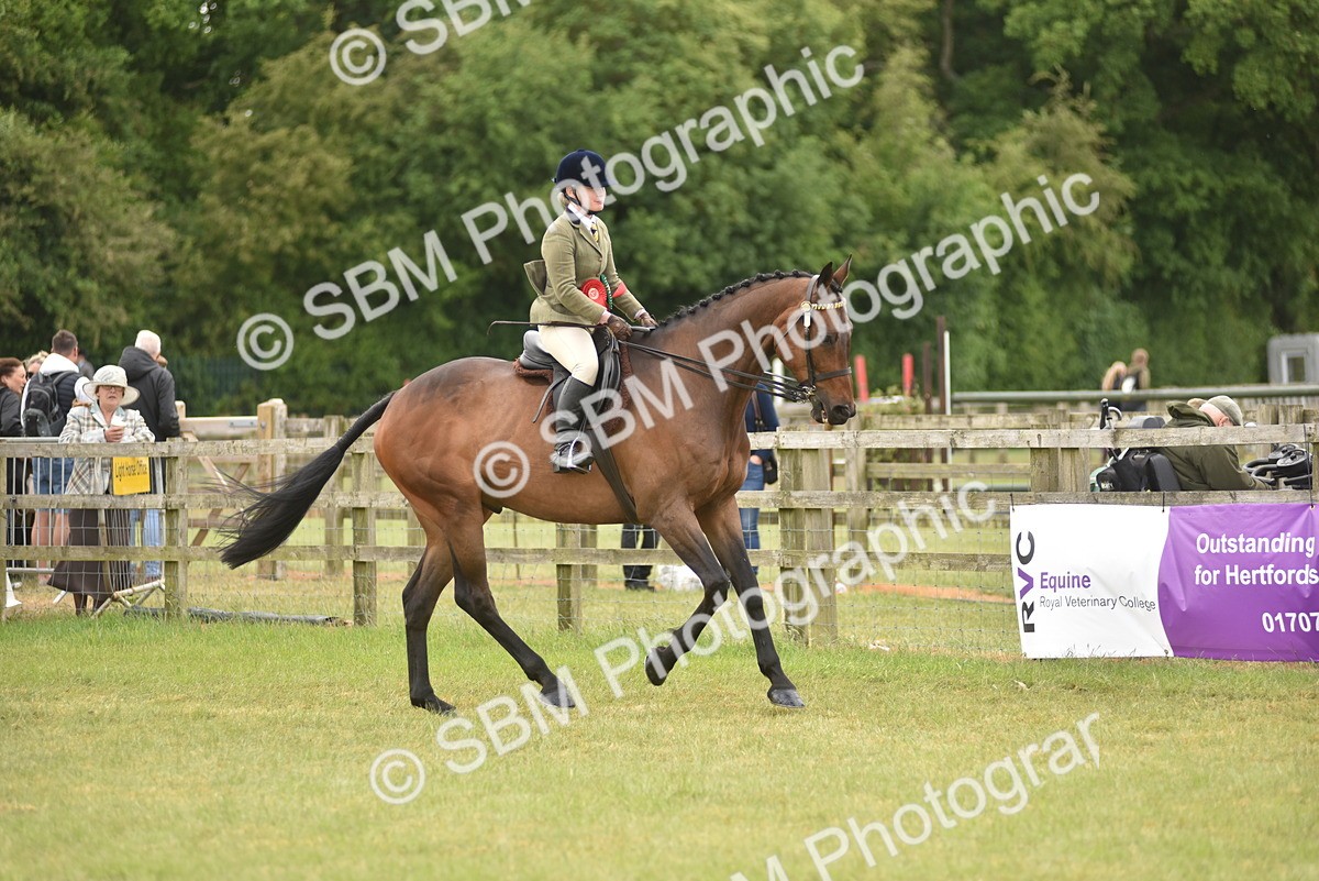 SBM_14276 - Class 113-114 - Retraining of Racehorses Ridden