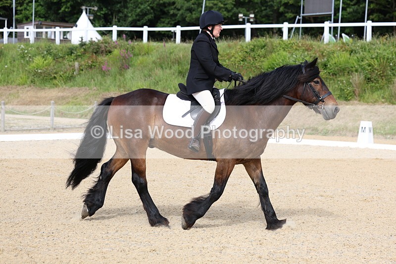 3E7A1376 - Class 1: Intro 2 2024 Section A