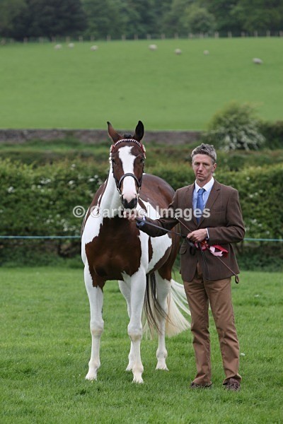 MBM_3503 - MBRC In Hand May 2014