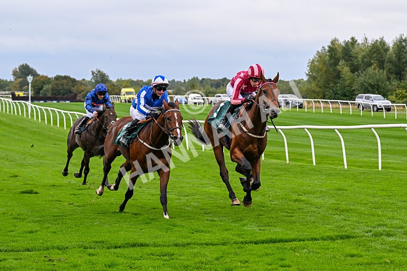 011025-Race 3-Real American-0250 - Race 3