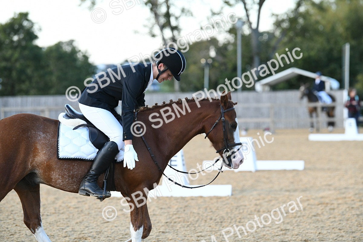 SBM_31014 - D16 - Small Tour Championship - Novice 28
