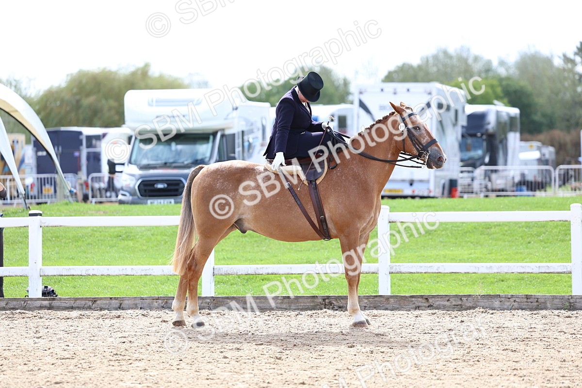 SBM_03249 - Class 22 - SSA Equitation (any age)