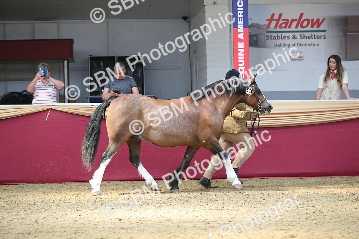 SBM_15220 - Class 501 M&M IH Supreme Final