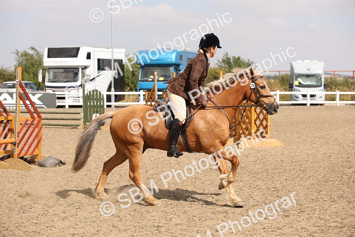 SBM_14308 - Class 407b - Working Veteran 60cm (20+)