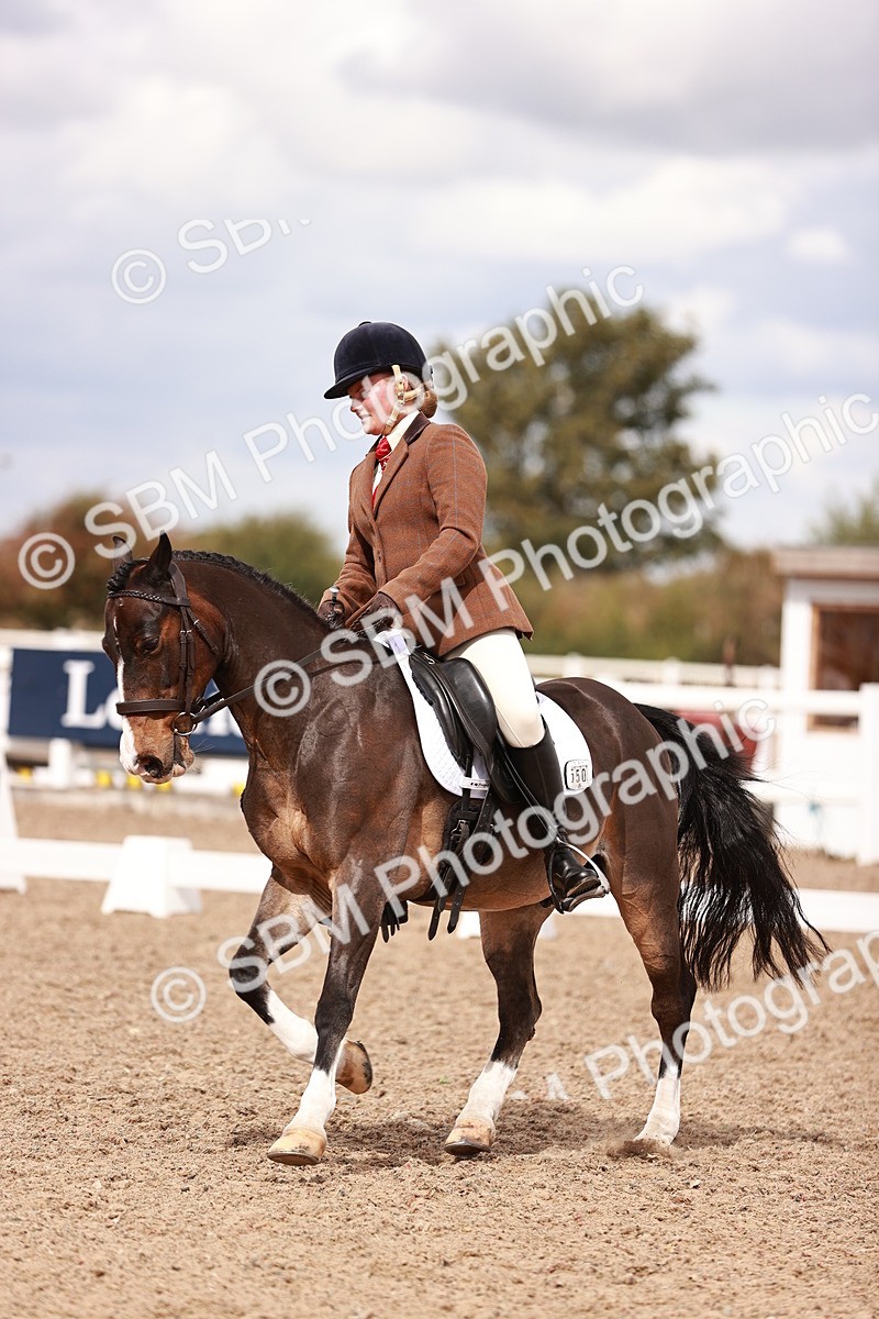 SBM_06233 - Class 37 - Novice 5