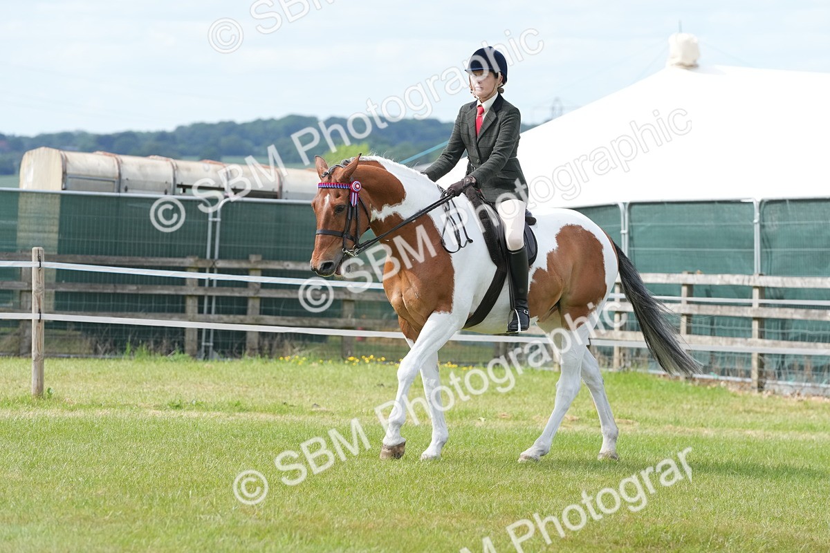 SBM_17603 - Class 107-108 - LIHS BSPS Performance Coloured Horse Pony