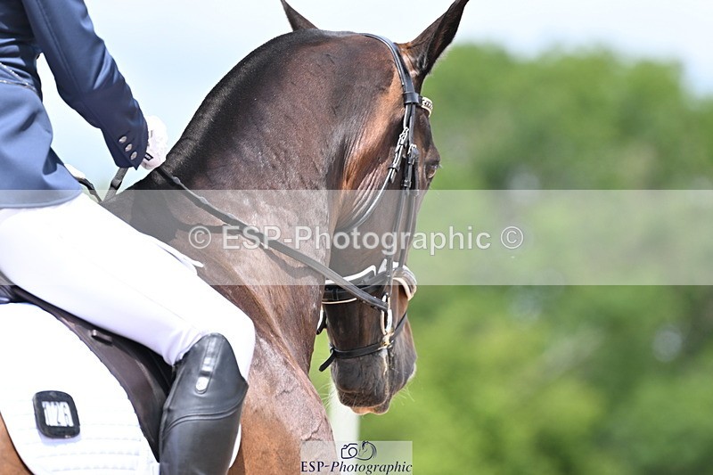 240622A-125755-10307 - Cls 30 BD Elementary 53