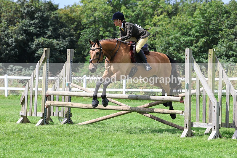 3E7A8882 - Class 6: Open Working Horse