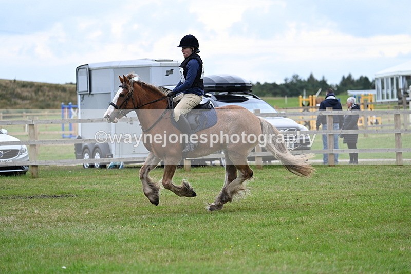 WJ7_7708 - 40cm Time 10:49 to 11:18