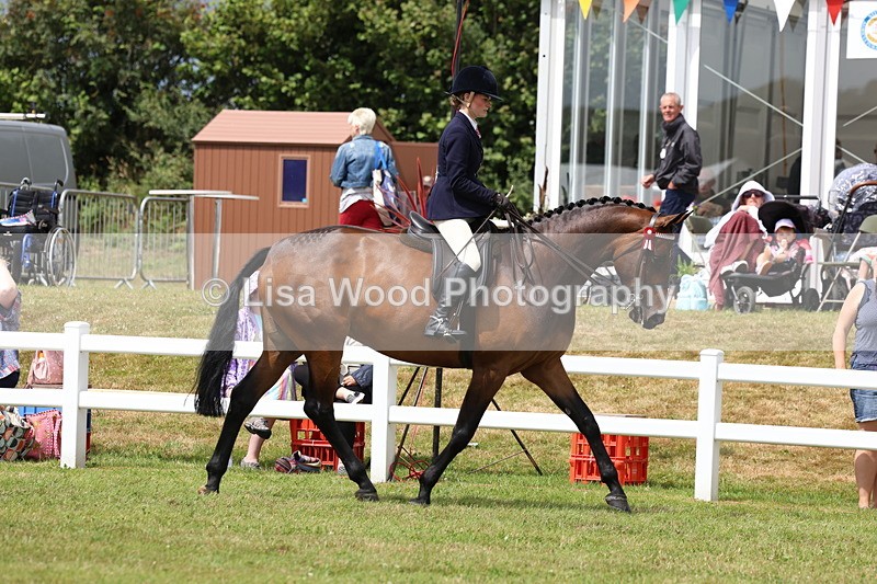 3E7A0858 - Class 8: Open Riding Horse/Hack