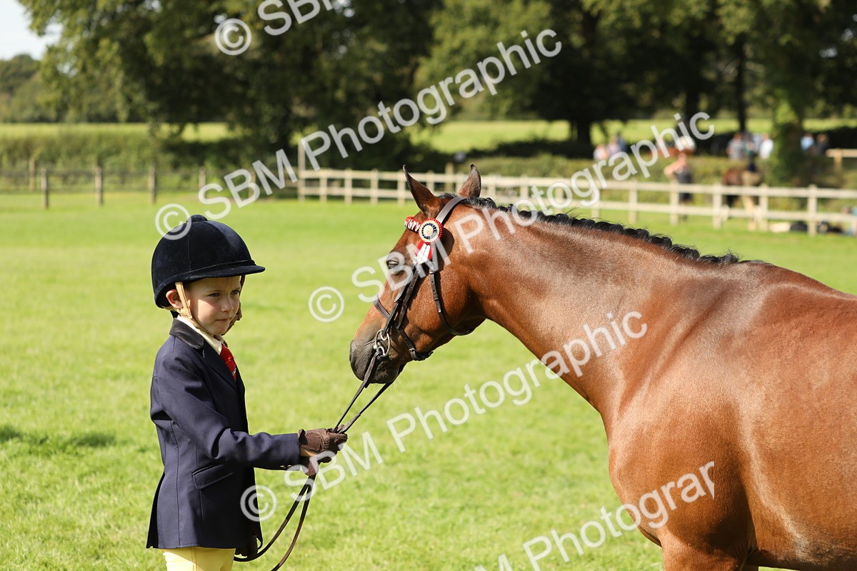 SBM_67819 - S39 - Junior Handler 8  Years & Under