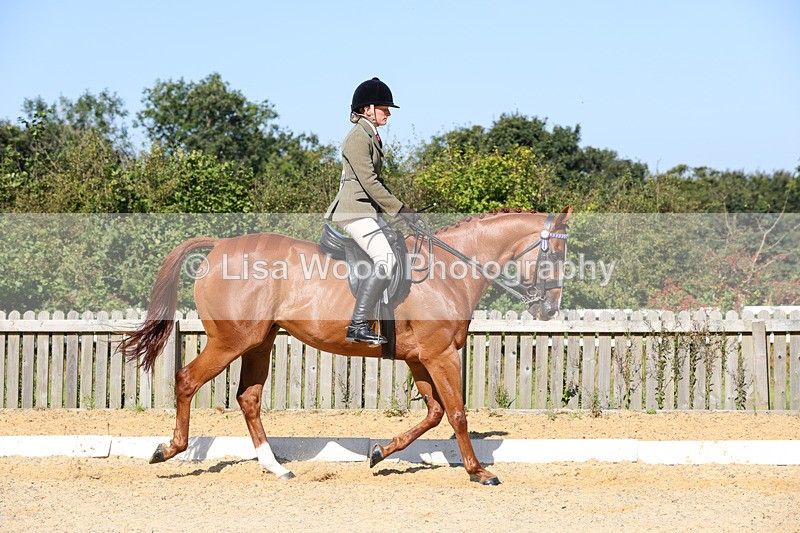 1X9A7868 - Class 10:Riding Horse