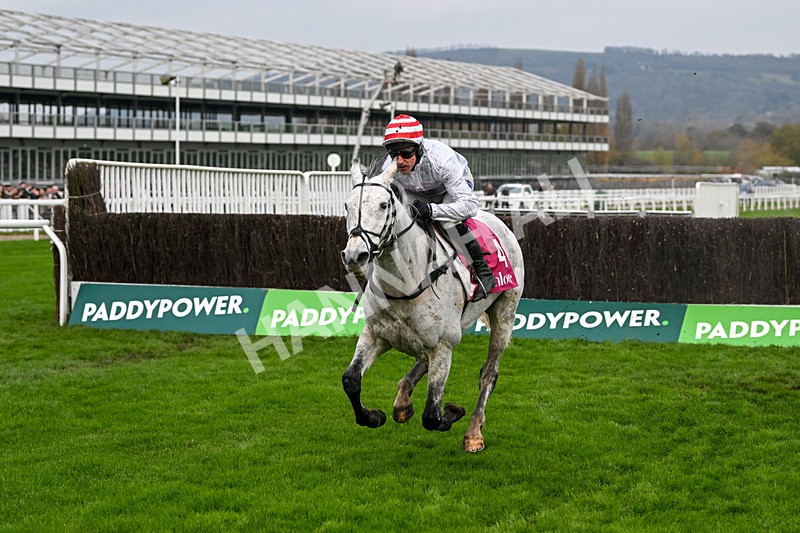 151124-Race 3-Unexpected Party-7780 - Race 3