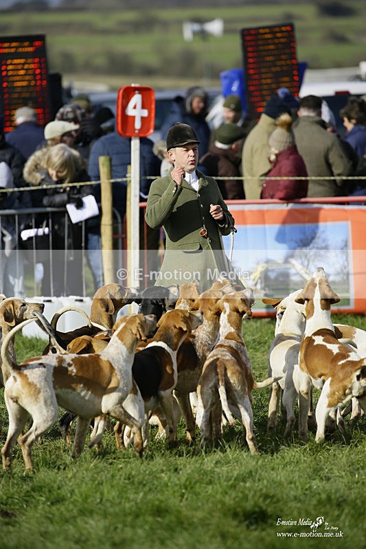 PtP 060322 297 - Blackmore & Sparkford Vale Hunt PtP 06/03/22