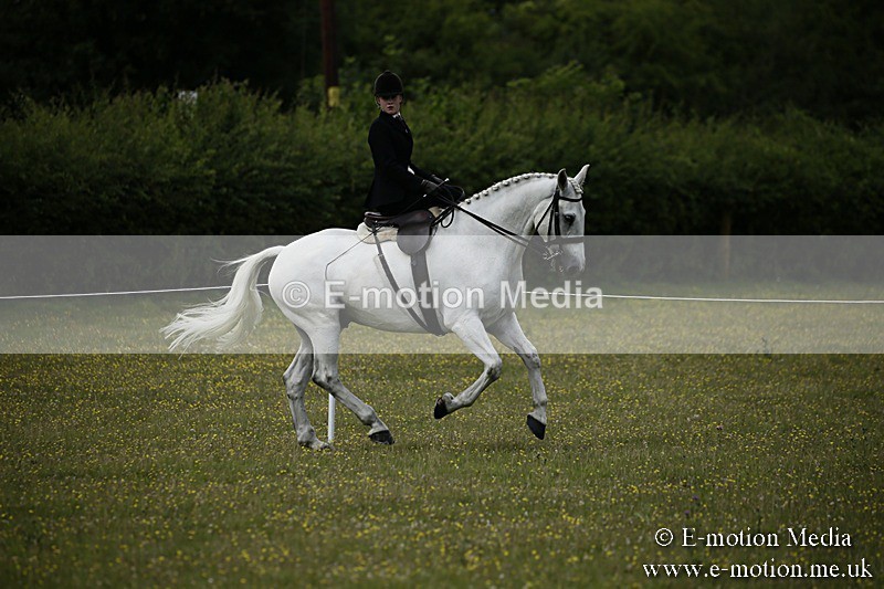BVR160717-1639 - Side Saddle Classes 16/07/17