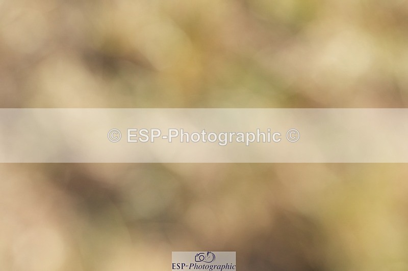 250823A-084313-25362 - Arena B