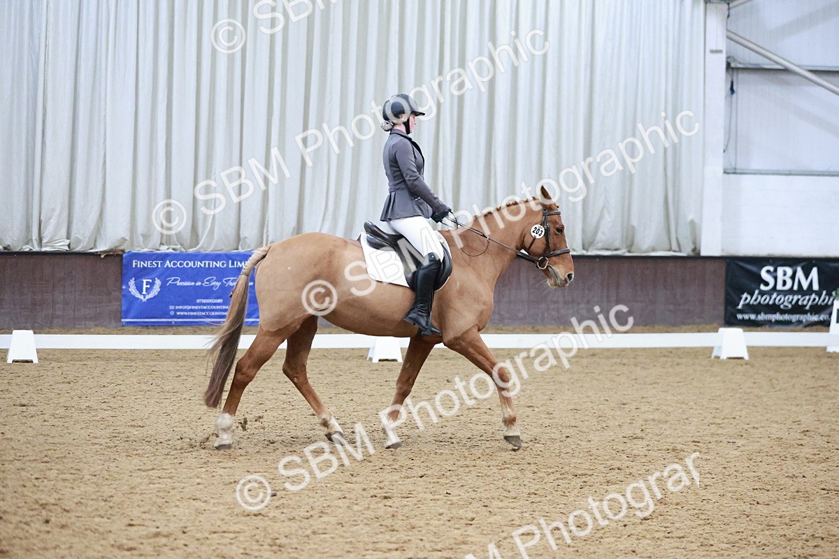 SBM_004639 - Ring 3 - International -  Working Hunter Classes 23-2-25