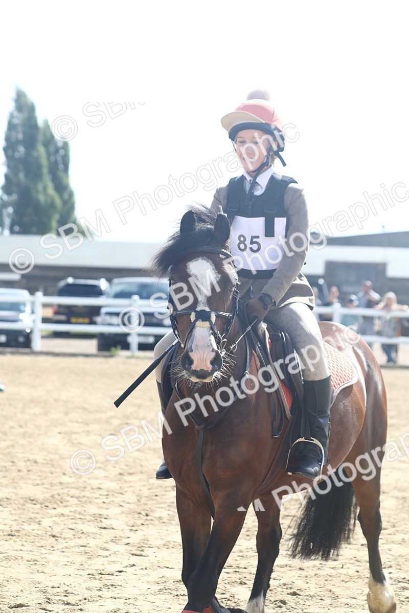 SBM_005924 - Class 6 - 60cm Champs