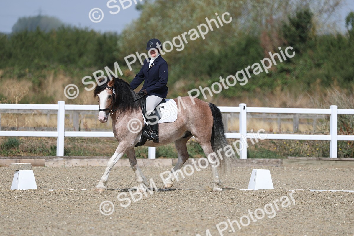 SBM_020919 - Class 21 - M5 Bronze 10.58.12.10