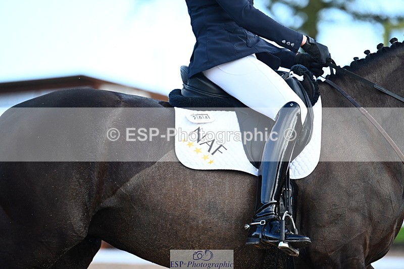 240218A-111513-06288 - 204-Elder.Klatzko-Dynasty.Hit