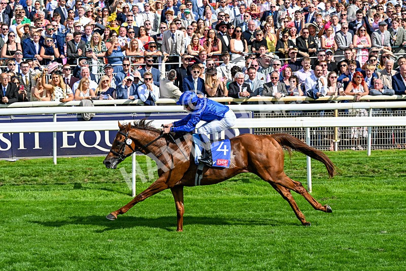 220826-Race 3-Notable Speech-0376 - Race 3 15.00pm Sky Bet City Of York Stakes