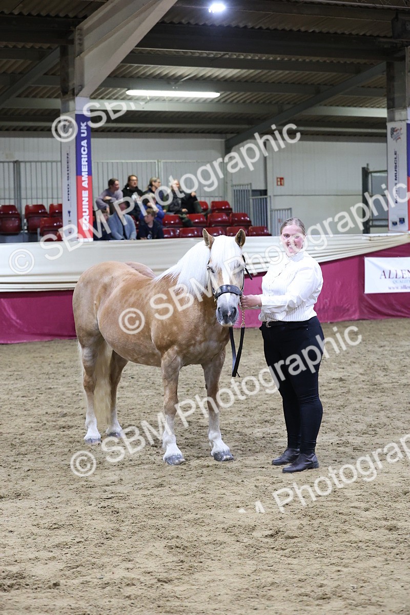 SBM_20729 - Class J - Foreign Breeds Champ