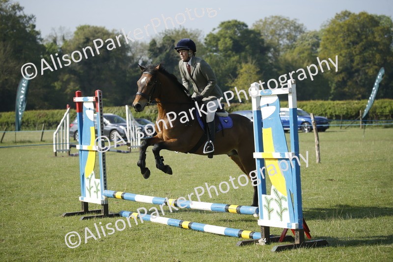 20250427-0239 - Class 12 - Rookie Jumping 40cm
