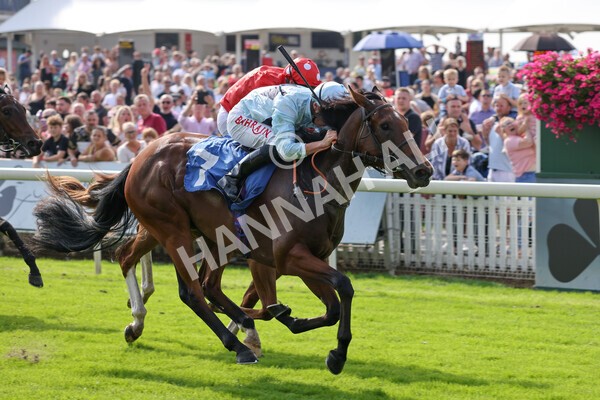 yr05092021r1-27 - Race 1 2.10pm IRE-Incentive It Pays To Buy Irish ebfstallions.com Novice Stakes