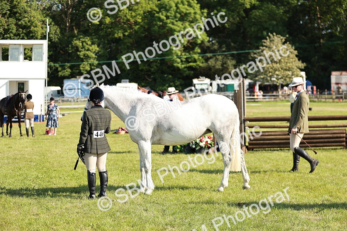 SBM_19314 - Class 115-116 - LIHS BSHA Rising Star Working Hunter & Show Horse