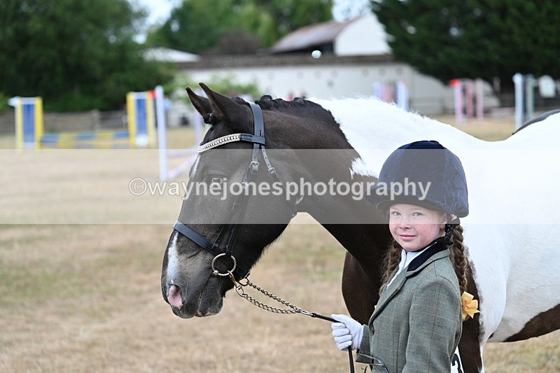 WJ7_9715 - Class 5 Most Handsome Gelding (up to 14.2hh)