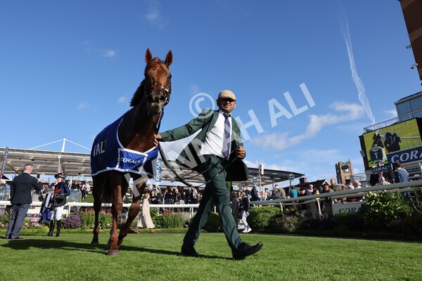 yr08102022r3-73 - Race 3 2.40pm The Coral 'Beaten-by-a-Length' Free Bet Handicap