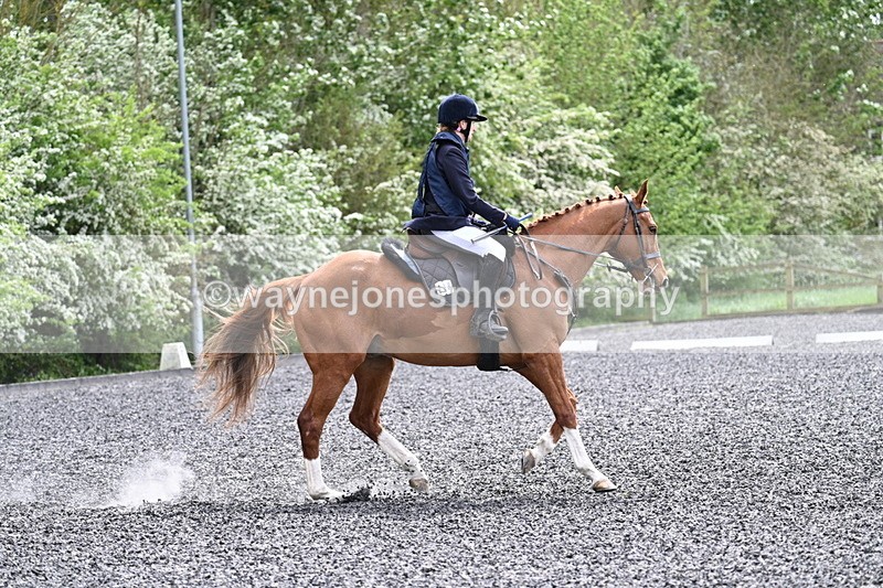 WJ7_0833 - Time 14:01 to 14:12