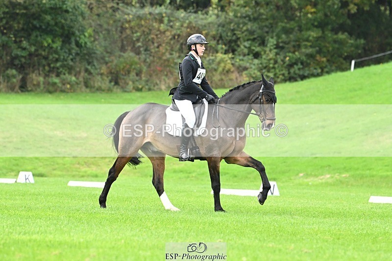 241024-100928-02937 - 406-Harvey.Crocker-THE.NIGHT.TRAVELLER