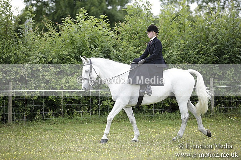 BVR160717-1946 - Side Saddle Classes 16/07/17