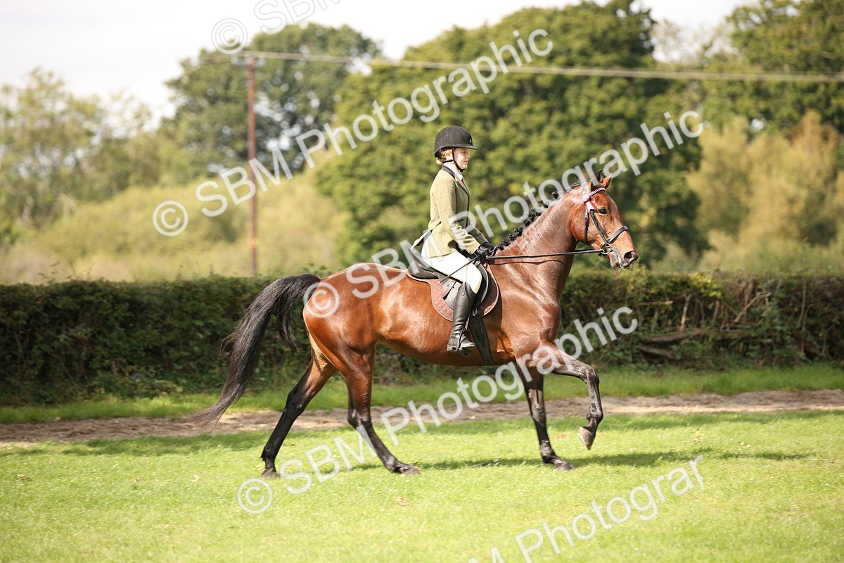 SBM_65924 - S64 - Riding Horse & Hack & Thoroughbred Ridden