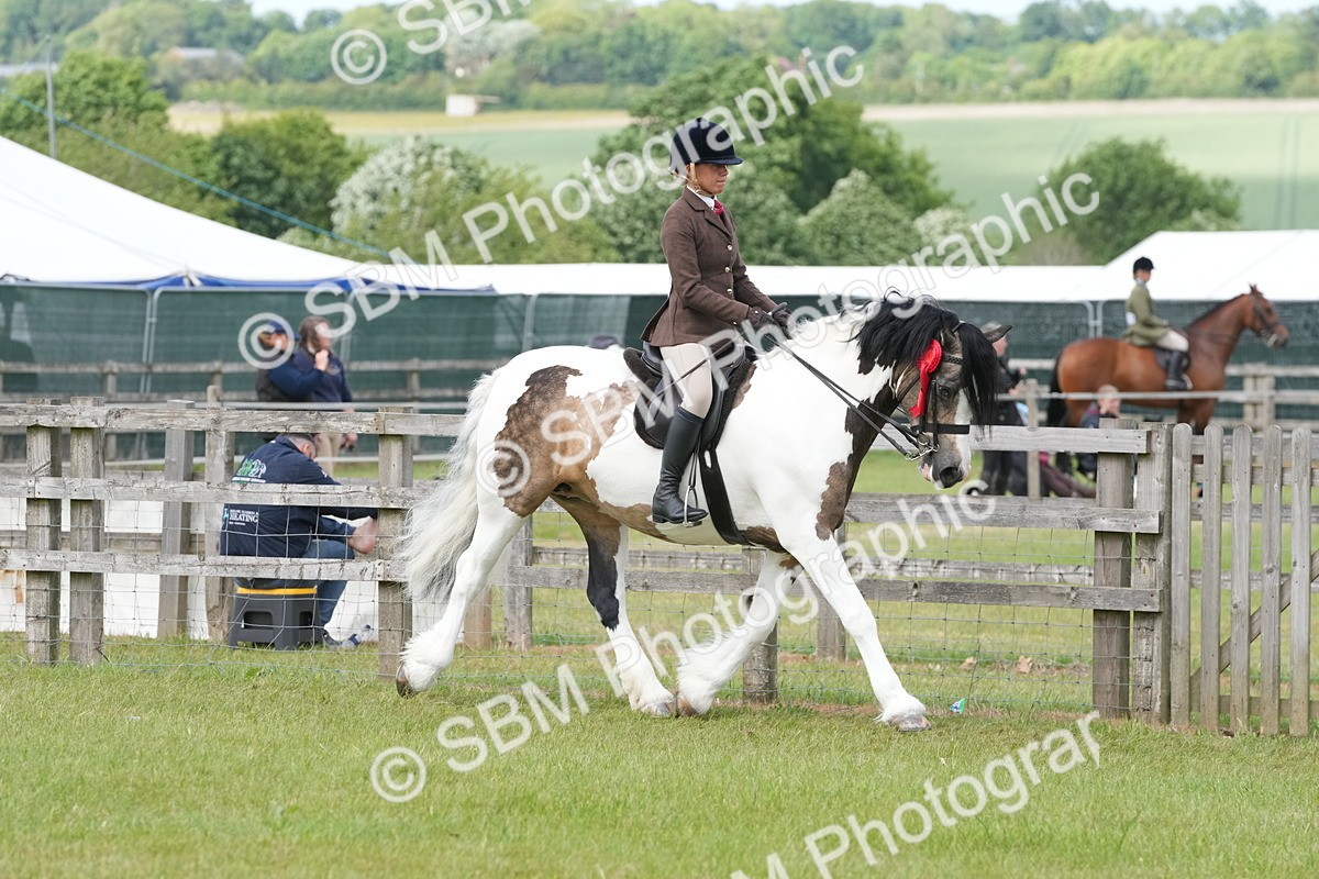 SBM_17641 - Class 107-108 - LIHS BSPS Performance Coloured Horse Pony