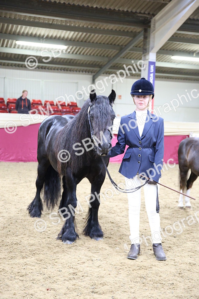 SBM_18768 - Class D IH Pony Champ