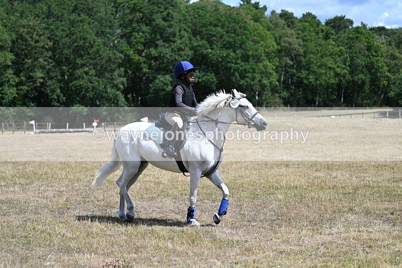 WJ7_0499 - 40cm Time 12:10 to 12:20