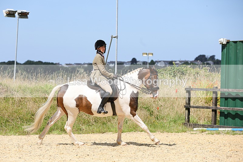 1X9A8807 - Class 19: Riding Club Horse