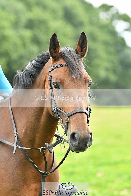 230817-153932-01564 - Theo's 2nd Group - XC