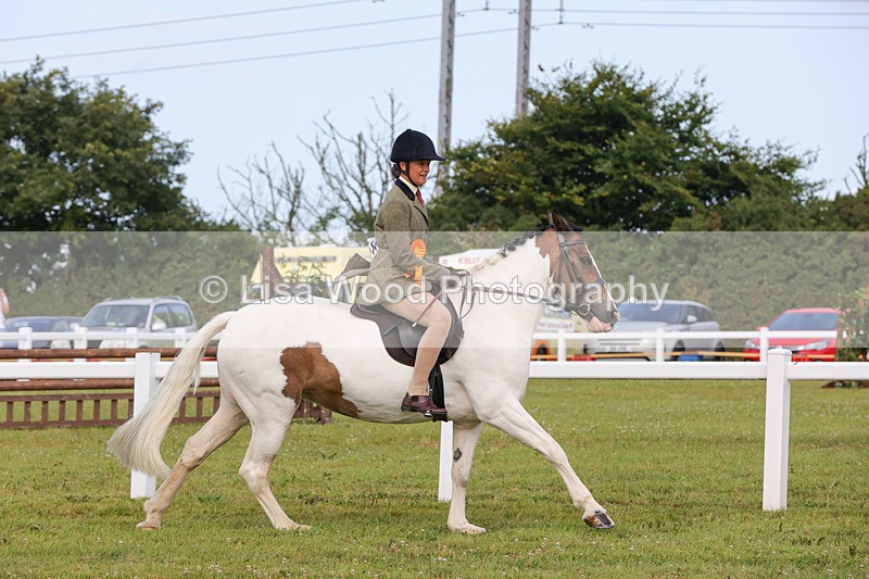 1X9A3103 - Class 26: Ridden Plaited Coloured Pony