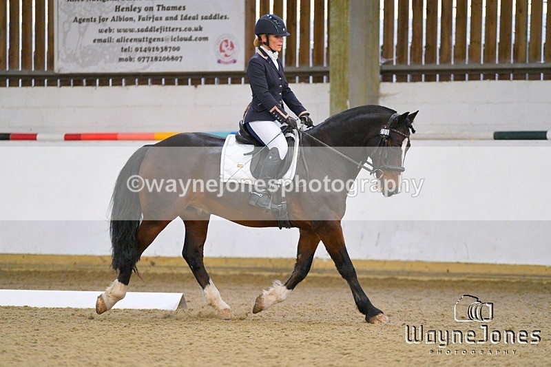 WJ5_7549 - Edited examples