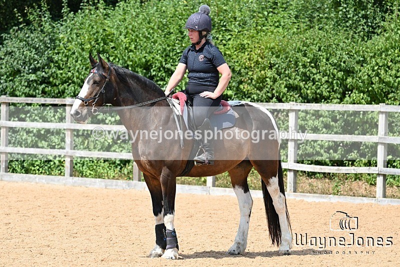 WJ7_6618 - Show Jumping at BCA