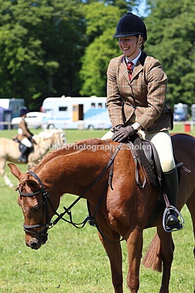 IMG_3916 - Working Hunter