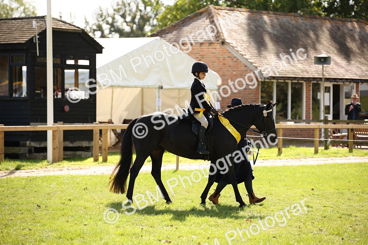 SBM_40895 - Fun Showing Supreme Championship